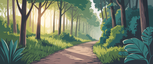 Minimalist line art of a lush forest path with sunlight filtering through trees, enhancing cognitive benefits research.