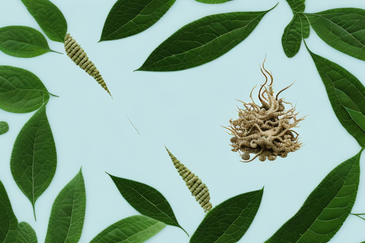 adaptogens on blue background