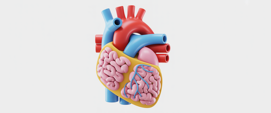 Silhouette with glowing heart-brain connection, surrounded by yoga pose, social interaction, and learning symbols for health.