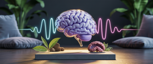 Glass brain model illuminated in blue-purple light with neural pathways, surrounded by brain waves and botanical nootropics.