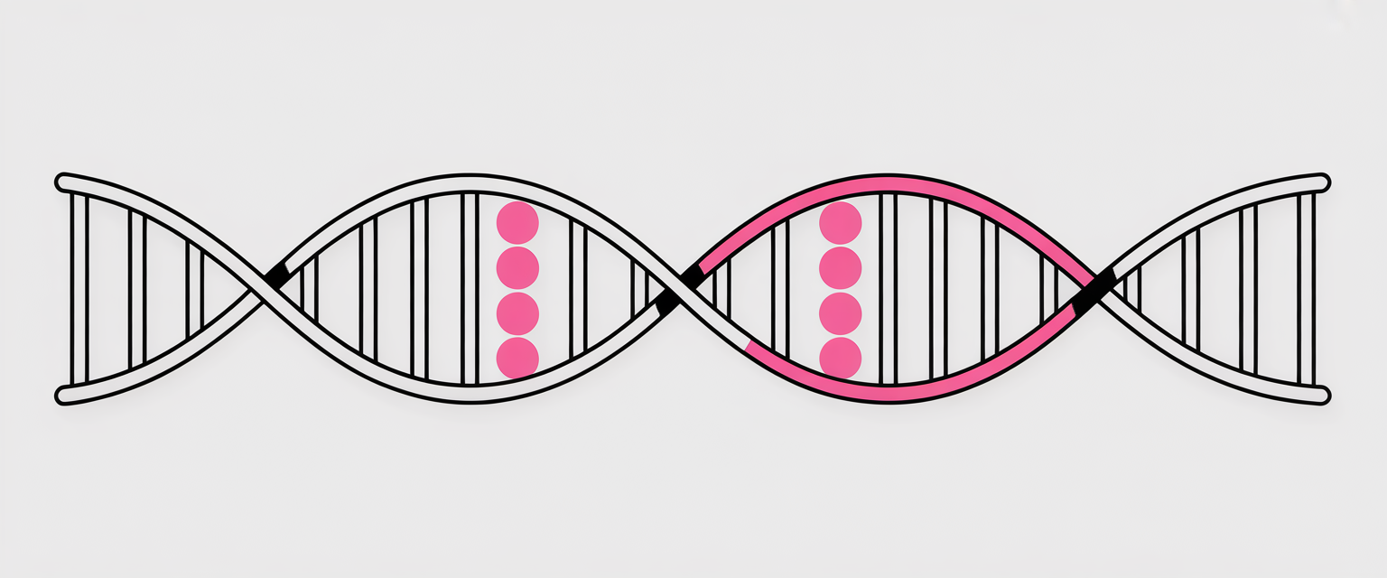 Pink-highlighted DNA strand in minimalist double helix, illustrating X chromosome; clean vector with monochromatic theme.