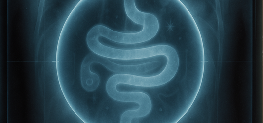 gut x ray