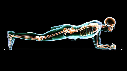 xray image of person planking