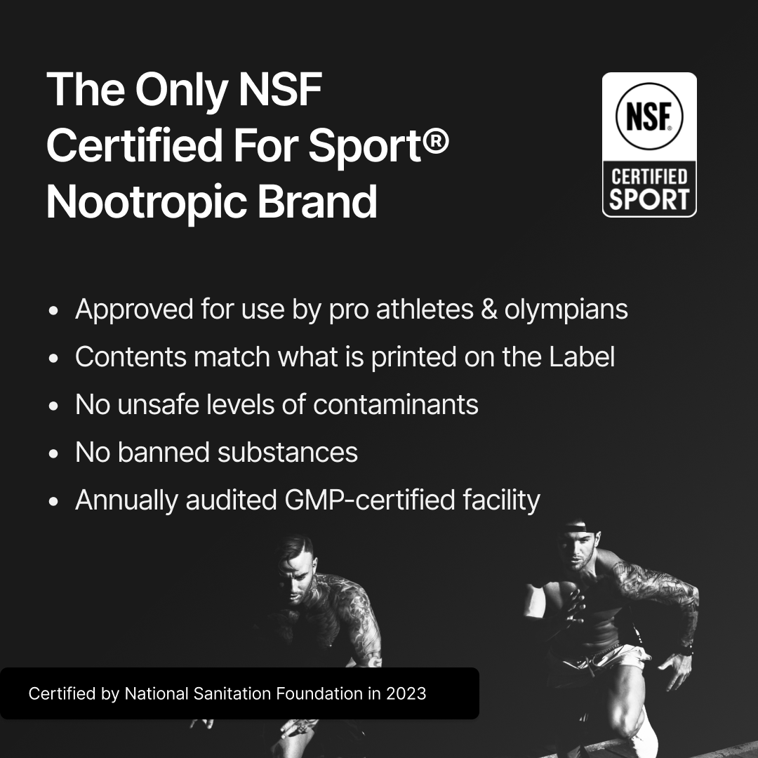 Nootropack: Our Nootropic Bundle (Team Pricing)