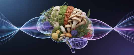 Macro shot of a brain made from nootropic ingredients like mushrooms and herbs, with glowing synapses on a navy background.