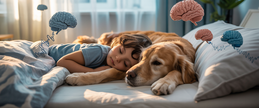 Child peacefully sleeps with golden retriever in a sunlit bedroom, with soft morning light and subtle brain-shaped clouds in background.