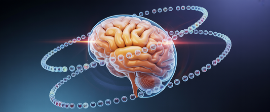 Fetus brain with glowing neural pathways in gold and blue, surrounded by nutrients on a navy-indigo gradient background.