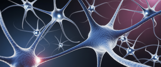 Crystalline uridine molecules glow blue in a neural network, with neurons branching across a gradient indigo background.