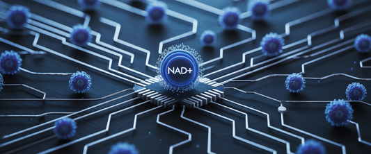 Glowing blue NAD+ molecule at center of a molecular circuit board with energy pathways and cells, on deep indigo backdrop.