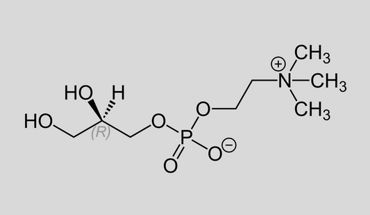 alpha gpc molecule