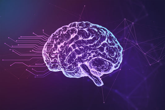 brain on purple background
