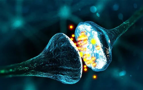 neurotransmitter