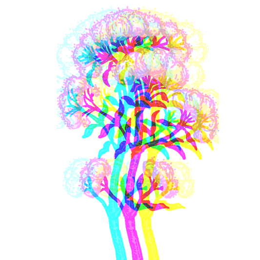 valerian root, nootropics, stoned ape, nootropic