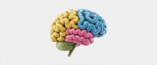 Neural stem cells differentiating into neurons in a mixed media collage, illustrating breakthrough stroke therapy research.