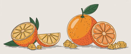 Monochrome line art of sliced oranges and vitamin C crystals, illustrating memory-boosting benefits of vitamin C.