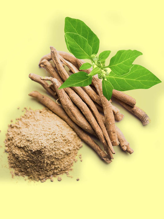 ashwagandha on yellow background