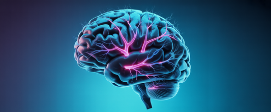 Hyperrealistic 3D human brain with cyan and magenta-lit blood vessels pulsing, showcasing detailed microvascular networks.