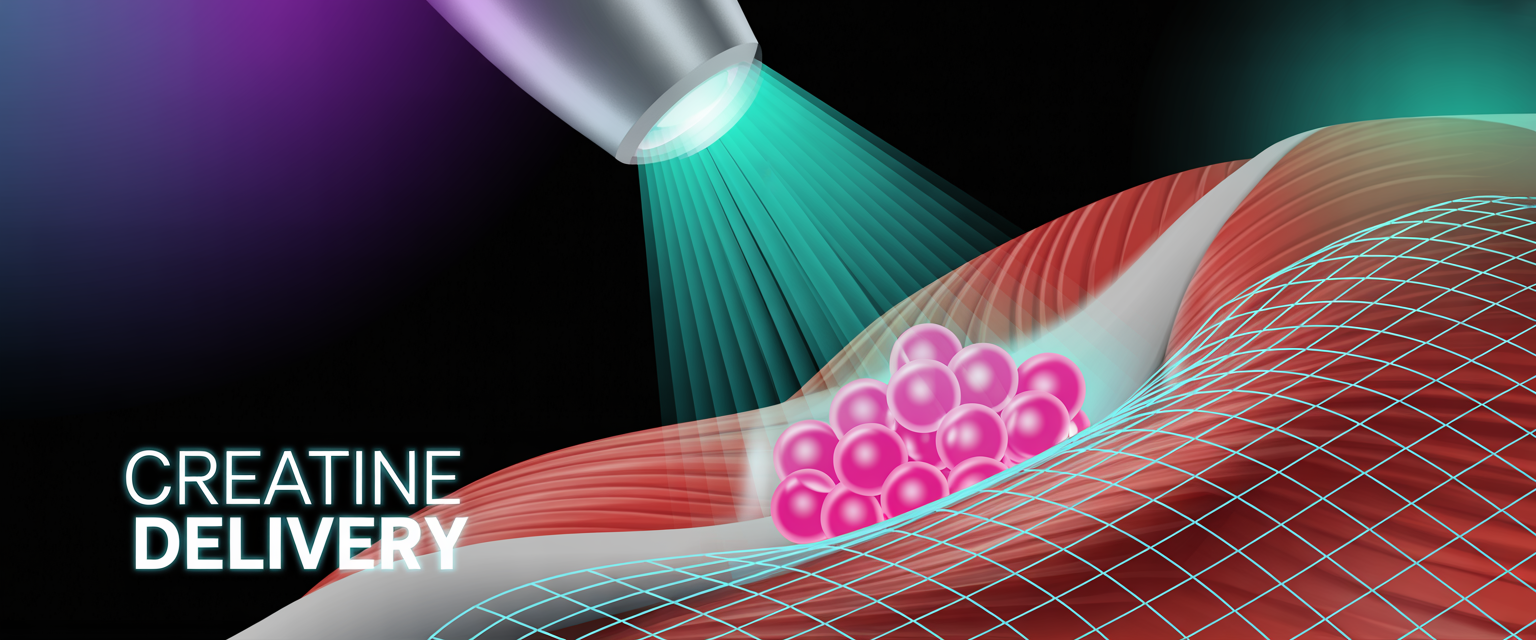 Focused ultrasound illustrates creatine delivery to brain; potential breakthrough for cognitive health and neurological disorders.