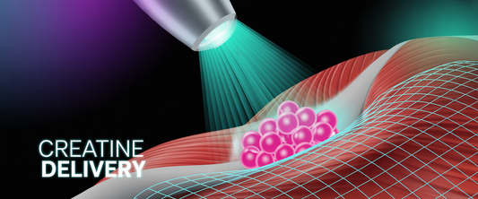 Focused ultrasound illustrates creatine delivery to brain; potential breakthrough for cognitive health and neurological disorders.