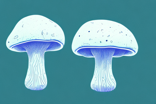 illustrated drawing of mushrooms, blue and teal