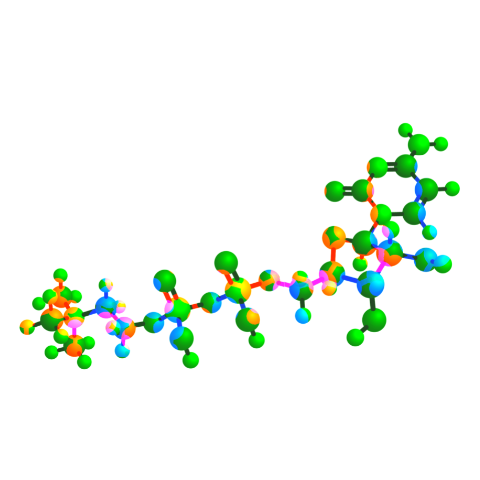 choline, cdp choline, citicoline, nootropics, stoned ape, supplements
