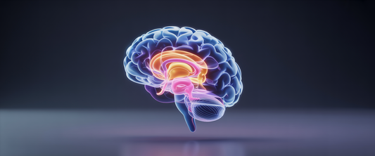 3D neural network with glowing brain pathways in blues and oranges, set against a deep indigo gradient background, symbolizing brain health.
