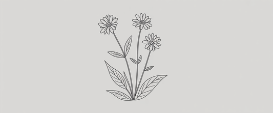 Minimalist line art of valerian root and flowers with simple lines and limited colors, emphasizing negative space.
