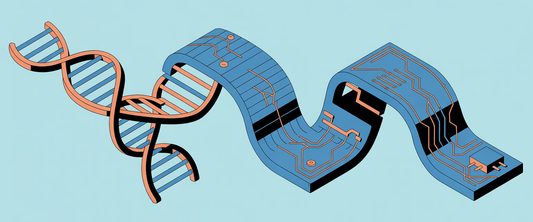 DNA helix morphing into a circuit board in isometric style, symbolizing AI's role in protein design for anti-aging.