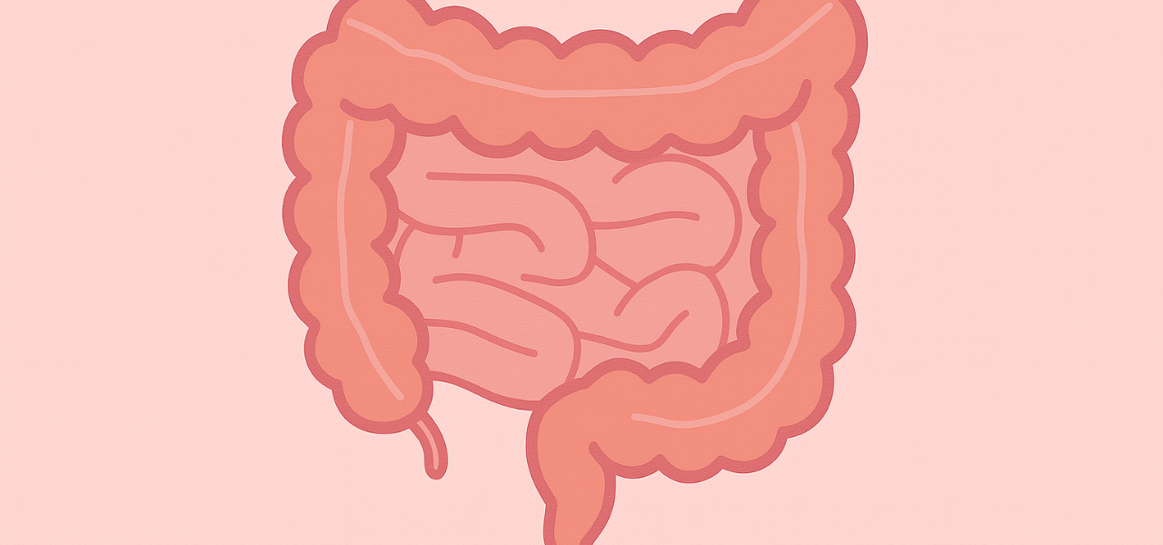 gut on pink background