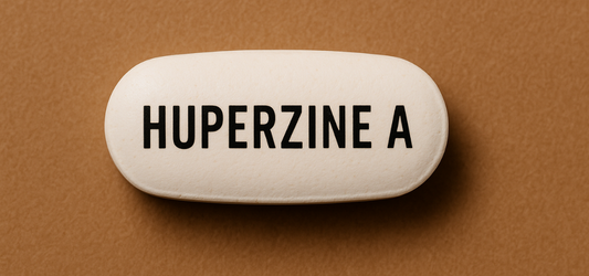 huperzine A pill on brown background