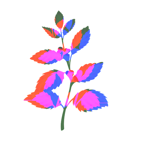 Blog Image