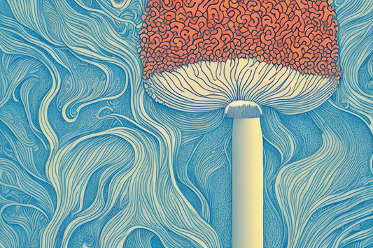 lion's mane mushroom on blue background