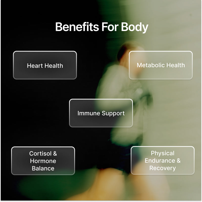 ZenX: Mood Support Nootropic