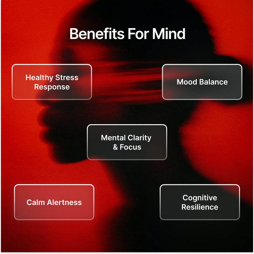 ZenX: Mood Support Nootropic