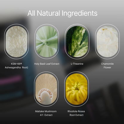 ZenX: Mood Support Nootropic