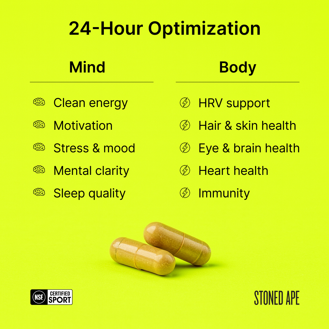 Nootropack: Our Nootropic Bundle