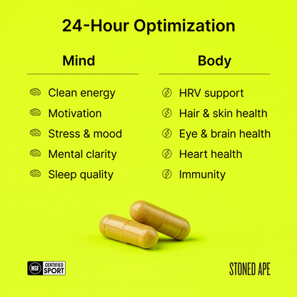 Nootropack: Our Nootropic Bundle