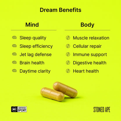 Recovery Bundle (Dream + ZenX)