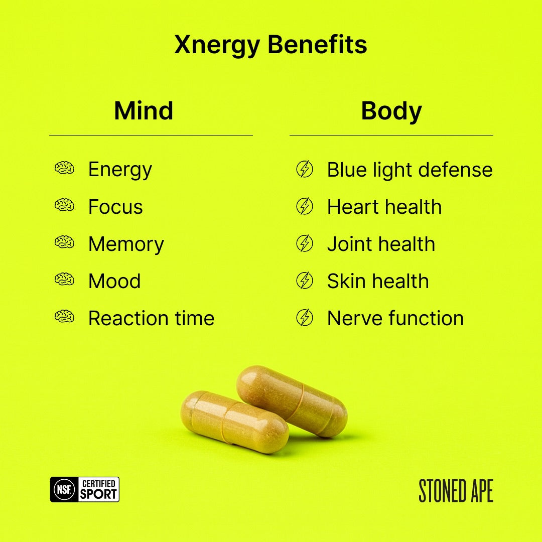 Calm Energy Bundle (Xnergy + ZenX)