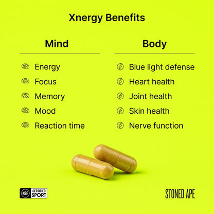 Calm Energy Bundle (Xnergy + ZenX)