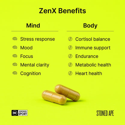 Recovery Bundle (Dream + ZenX)