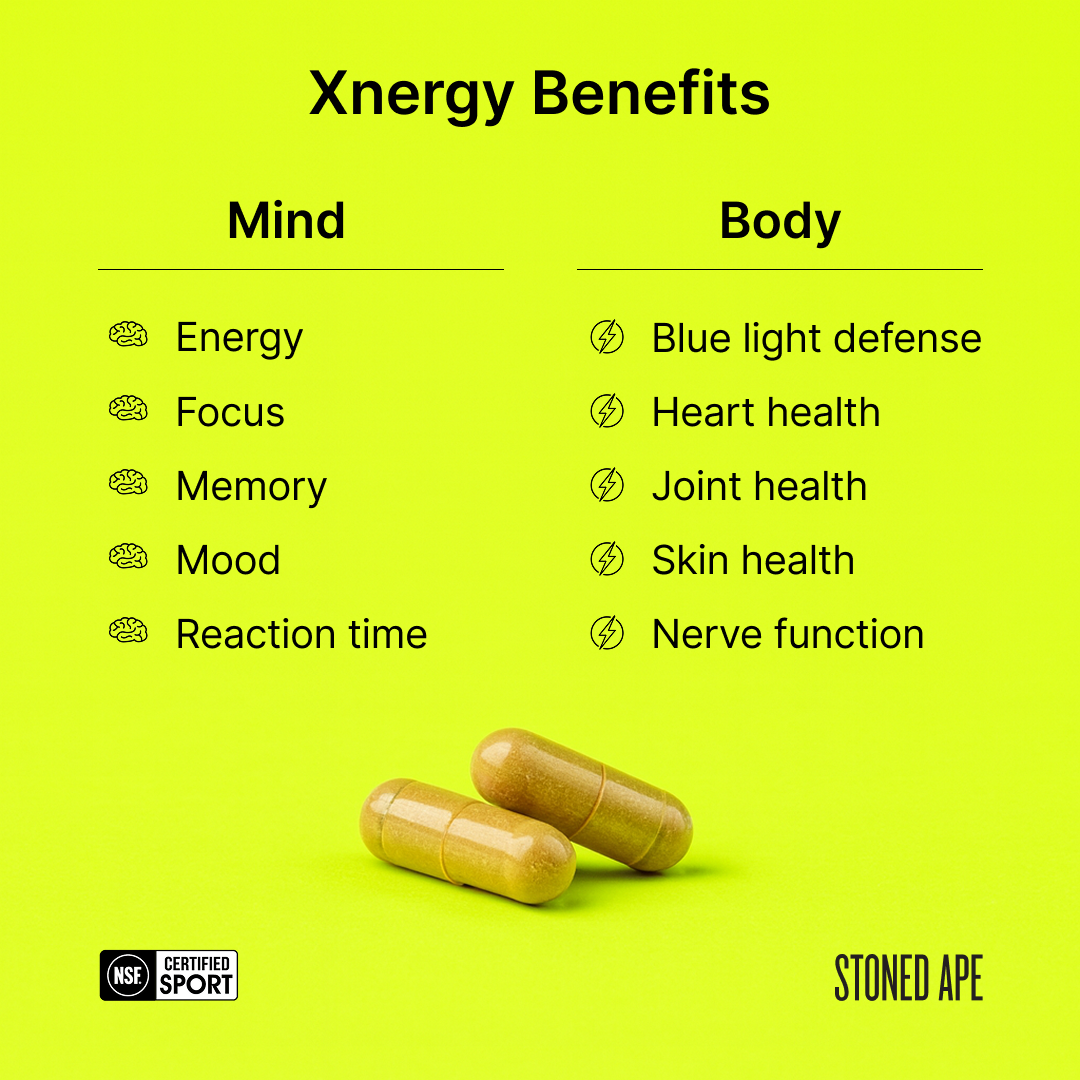 Xnergy: A.M. Nootropic for Calm Energy, Focus & Motivation