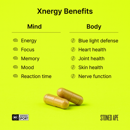Xnergy: A.M. Nootropic for Calm Energy, Focus & Motivation